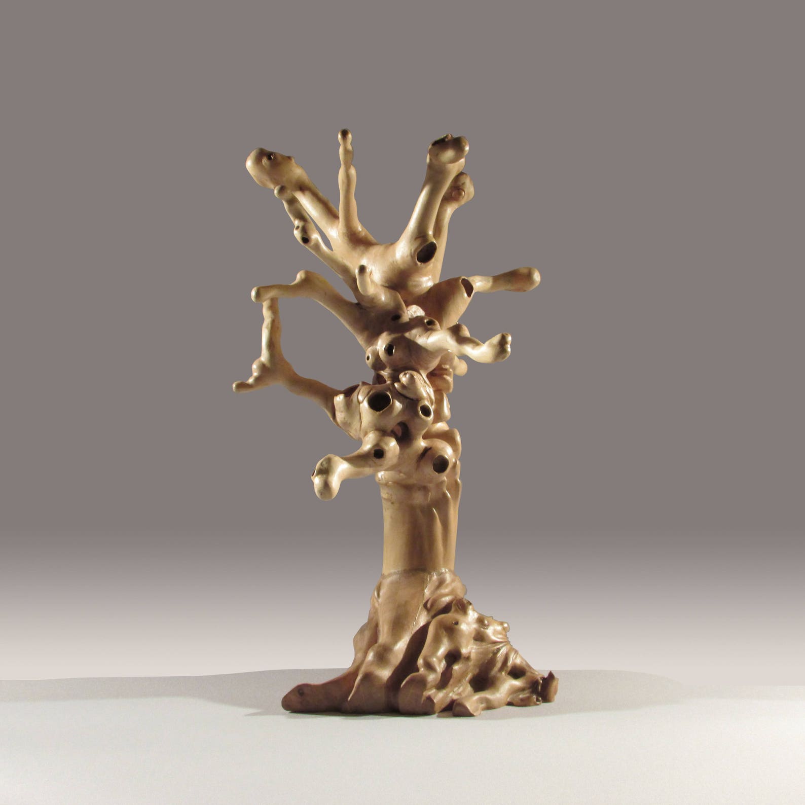 Abstract Driftwood Sculpture From the Roots of Chestnut. Etsy