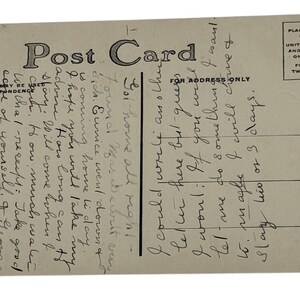 Cat Postcard- -Divided Back Era- 4 Adorable Kittens Are At Attention -Unposted 画像 2