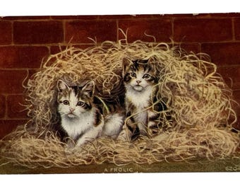 Cat Postcard- -Divided Back Era- 2 Kittens Frolic in Haystack