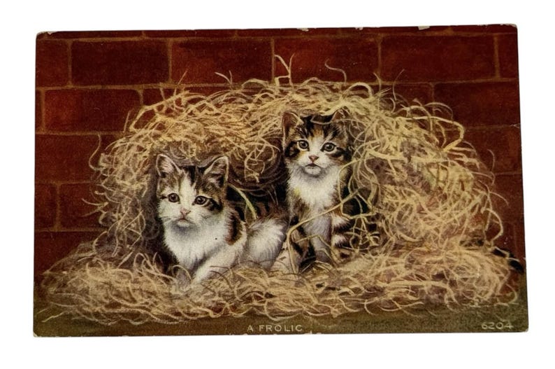 Cat Postcard- -Divided Back Era- 2 Kittens Frolic in Haystack image 1