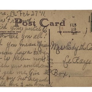 Cat Postcard- -Divided Back Era- 2 Kittens Frolic in Haystack image 2