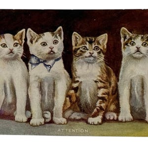 Cat Postcard- -Divided Back Era- 4 Adorable Kittens Are At Attention -Unposted 画像 1