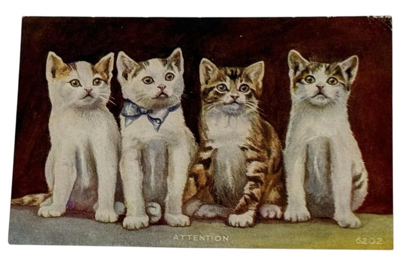 Cat Postcard- -Divided Back Era- 4 Adorable Kittens Are At Attention -Unposted 画像 1