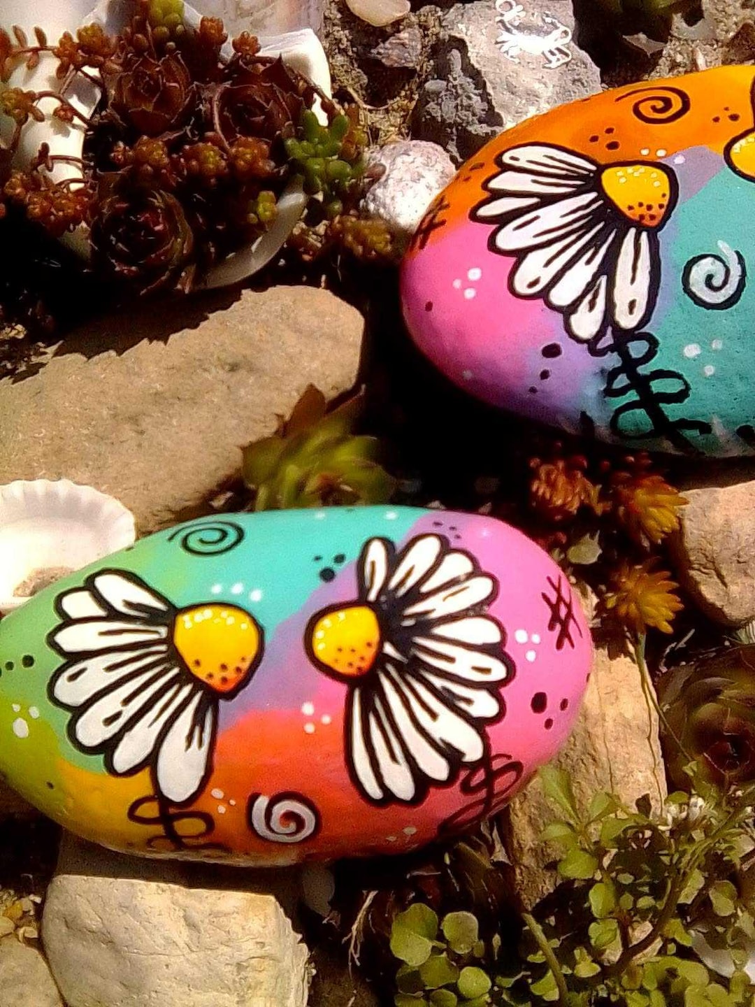 Colorful Daisy Painted Rock - Etsy