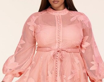 pink plus size dresses