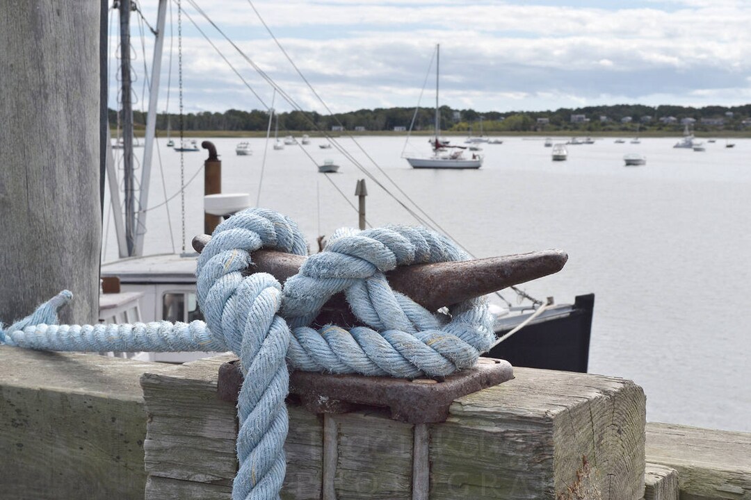 Cape Cod Blue Knotted Rope in Harbor Horizontal Printed - Etsy