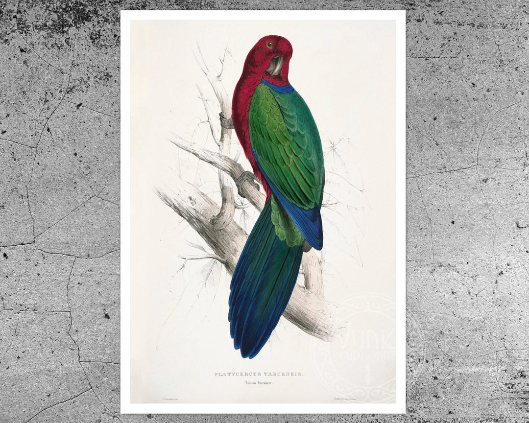 Edward Lear 