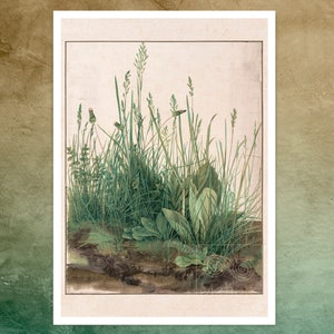 Albrecht Dürer "The Great Piece of Turf" (c.1503) Premium Reproduction Giclée Fine Art Print