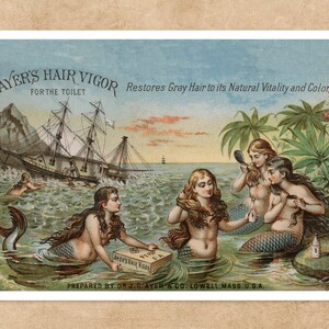 Vintage Trade Postcard &quot;Ayres Hair Vigour&quot; (c.1896) - Premium Reproduction Giclée Fine Art Print