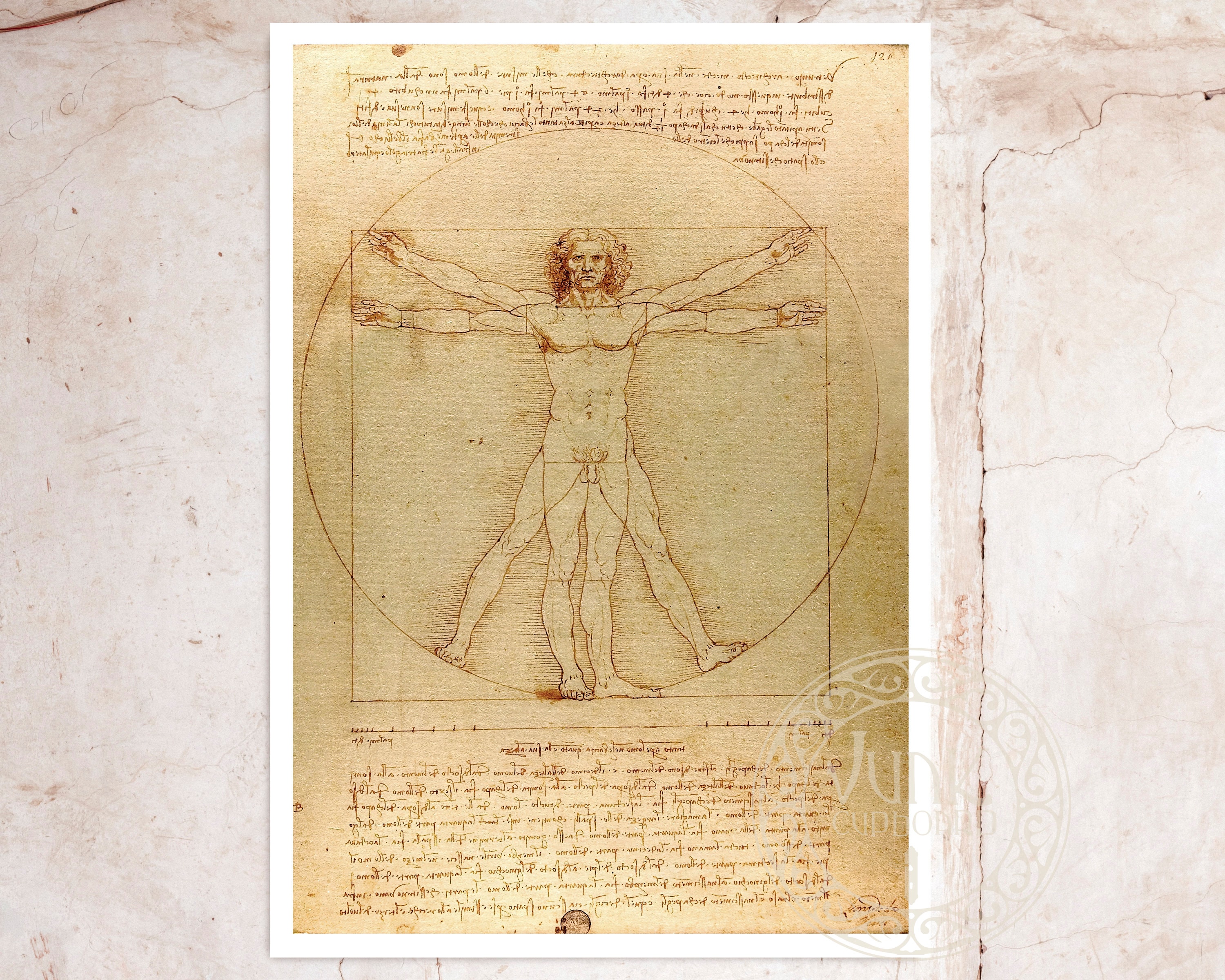 Leonardo Da Vinci vitruvian Man c.1490 Premium - Etsy UK