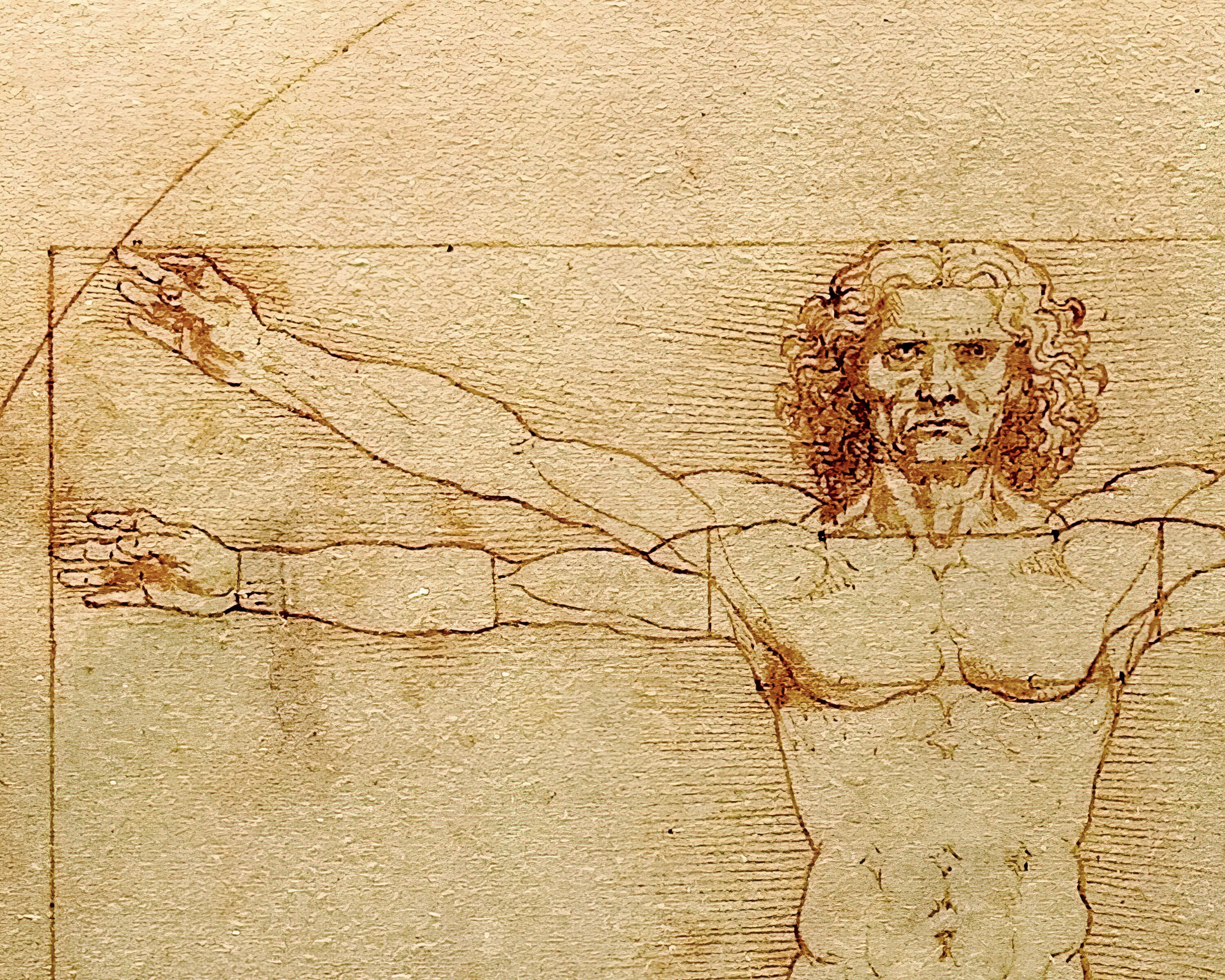 Leonardo Da Vinci vitruvian Man c.1490 Premium - Etsy UK