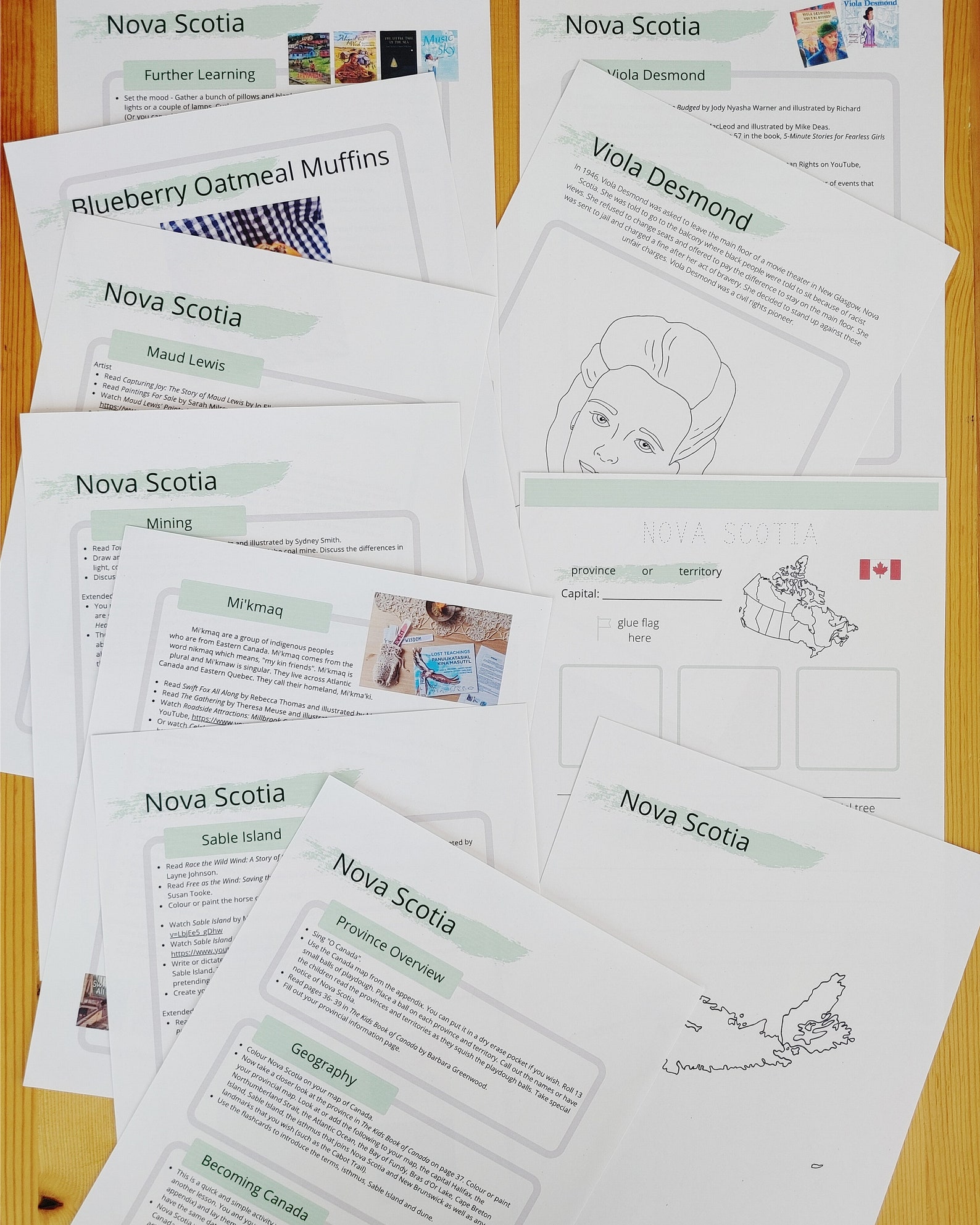 The Human Body: A Homeschool Science Unit Study