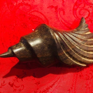 Carved Wood Seashell, Ironwood Shell, Decorative Shell, Shell sculpture and Rustic Nautical home decor