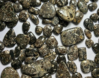 Lote de atacado de cabochão de ágata turritella, cabochão de pedra preciosa de ágata turritella em formato misto, ágata turritella, pedra solta de ágata de alta qualidade