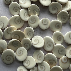 May include: A collection of white and brown fossilized ammonite shells, each with a unique spiral pattern. The shells are smooth and polished, and they are arranged in a random pattern on a white surface.