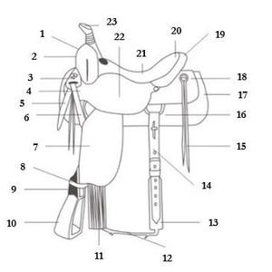 May include: A diagram of a western saddle with numbered parts labeled. The saddle is made of leather and has a seat, stirrups, and a horn.