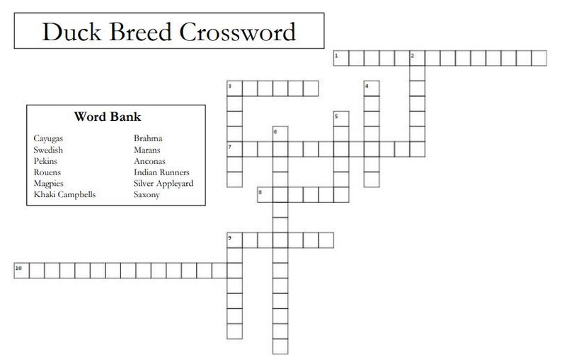 Popular Duck Breeds Crossword Puzzle, Skillathons, Quiz Bowls