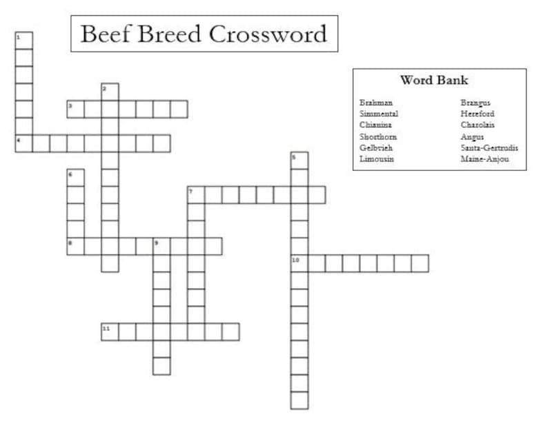 Popular Beef Breeds Crossword Puzzle, Skillathons, Quiz Bowls
