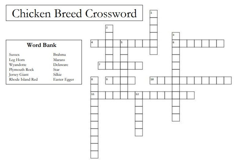 Popular Chicken Breeds Crossword Puzzle, Skillathons, Quiz Bowls