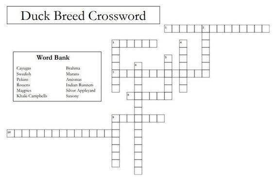 Crucigramas de razas de patos populares, maratones de habilidades