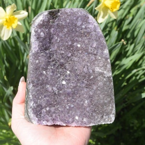 Amethyst Cut Base Standing Cluster Raw Freeform Nebula Geode Purple Cathedral With Black Amethyst