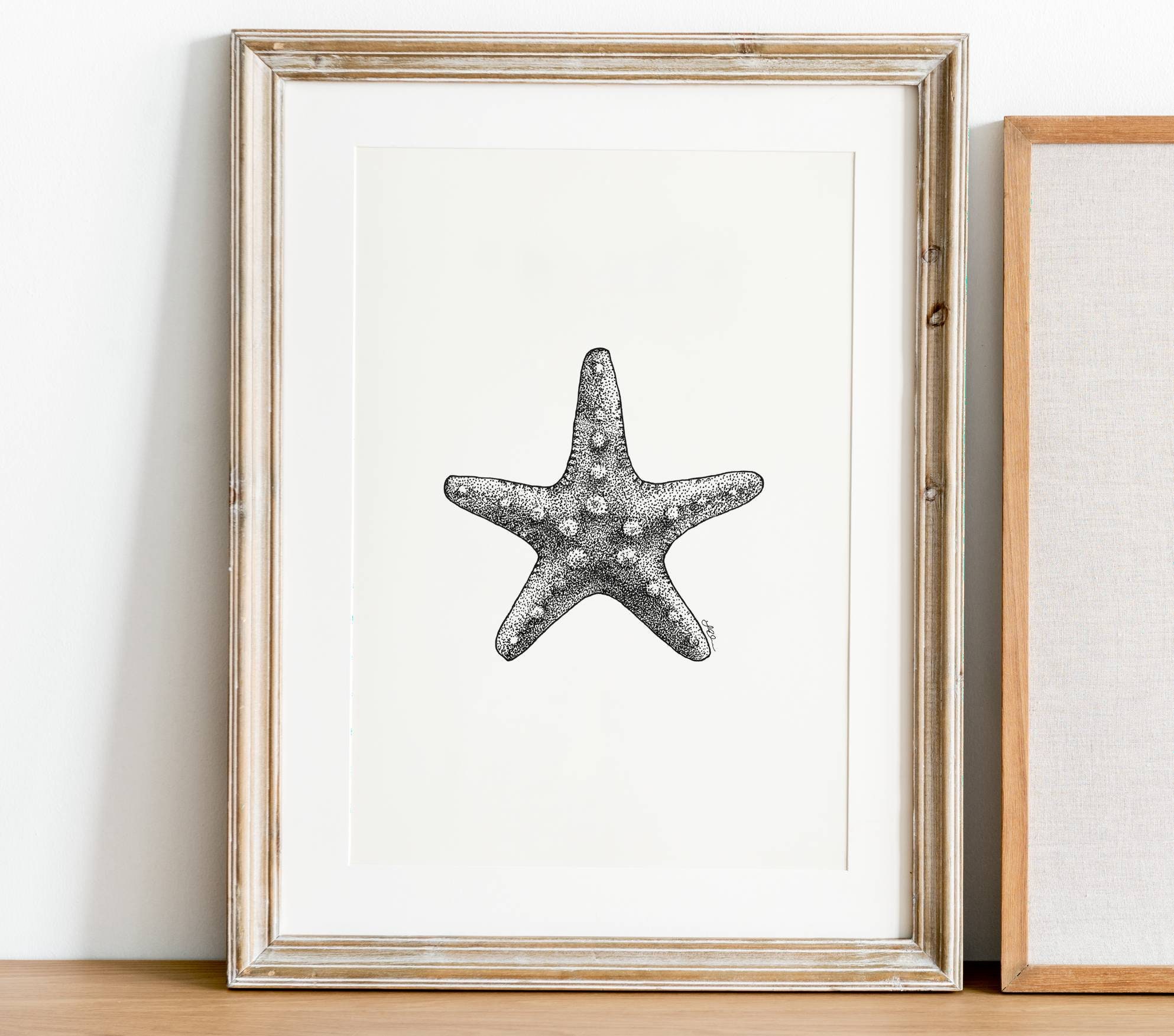 Starfish art print of a drawing available 5x7 or 8x10