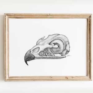 HAWK SKULL print (minimalist print, animal illustration, home decor, pen drawing, gift, 5x7, 8x10)