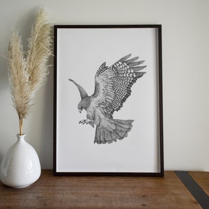 RED-TAILED HAWK print (minimalist print, animal illustration, home decor, pen drawing, gift, 5x7, 8x10)