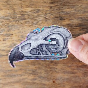 HAWK SKULL holographic sticker 3&quot; (gloss vinyl, waterproof, pen drawing, minimalist, gift)