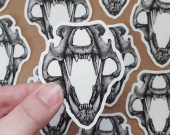 May include: A black and white illustration of a saber-tooth cat skull with an open jaw. The skull is drawn in a detailed, stippled style.
