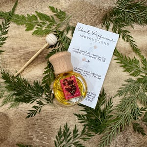 May include: A small glass bottle with a wooden cap and a red label that says "A Court of Thorns and Roses" by Sarah J. Maas. The bottle is sitting on a wooden surface with green leaves. The bottle is a vent diffuser and comes with instructions on how to use it.