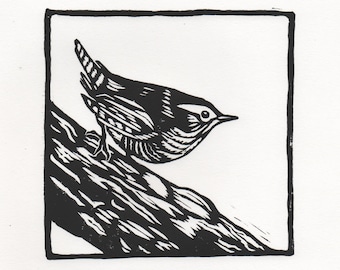 Wren Linocut Print, Original Linoprint, Bird Art, British Wildlife, 8x8