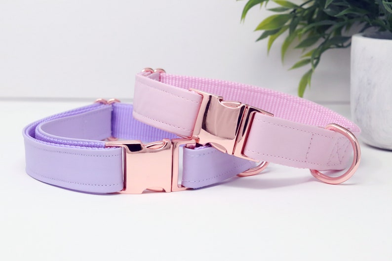 Lilac Dog Collar Purple Dog Collar Faux Leather Fashion Etsy
