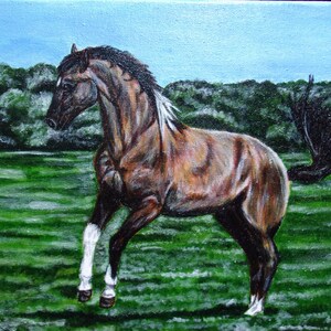 May include: A brown horse with a white blaze on its face and white socks on its legs is running through a green field. The horse has a black mane and tail. The background is a blue sky with green trees.