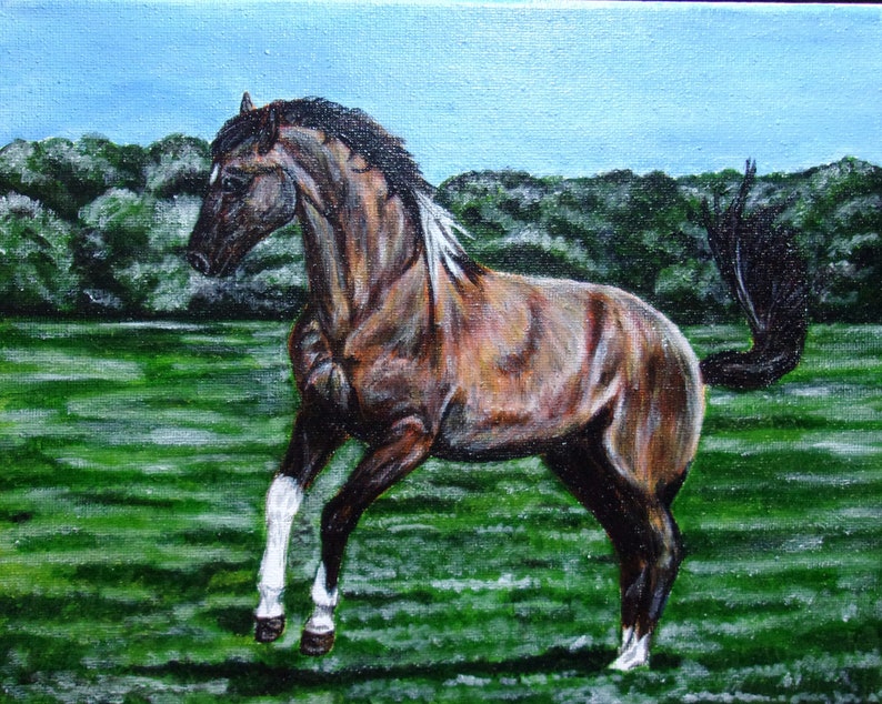 May include: A brown horse with a white blaze on its face and white socks on its legs is running through a green field. The horse has a black mane and tail. The background is a blue sky with green trees.