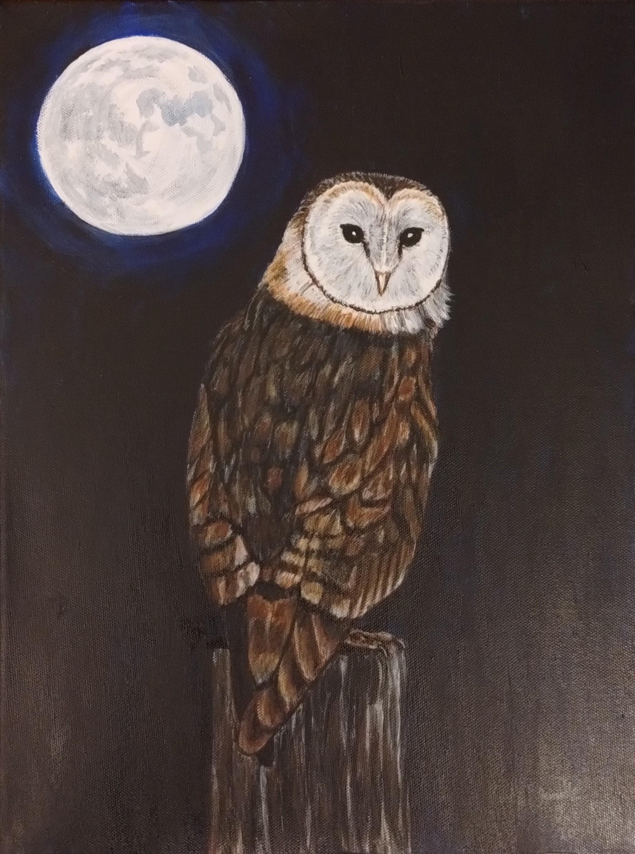 Barn Owl Acrylic Painting: Moonlit Night Sky Wildlife Art, 12x16 Canvas