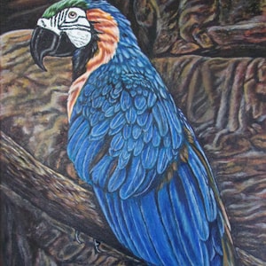 コンゴウインコ　絵画 コンゴウインコの絵画 オリジナル油絵 鳥好きへのギフト - Etsy 日本