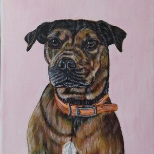 May include: Painting of a brown and black dog with a black nose and brown eyes. The dog is wearing an orange collar with a silver buckle and a white feather charm. The dog is sitting and looking directly at the viewer. The background is a light pink.