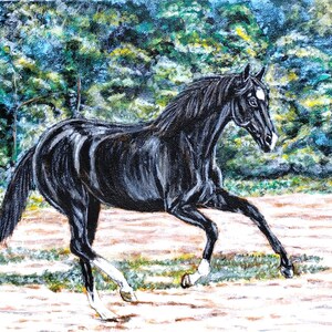 May include: A black horse with a white star on its forehead runs through a field with a green forest in the background.