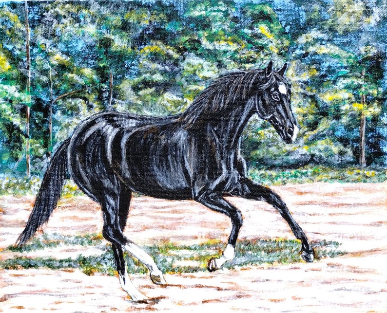 May include: A black horse with a white star on its forehead runs through a field with a green forest in the background.