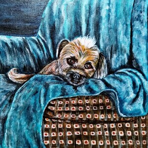 May include: A small, brown and white dog with a fluffy coat is lying on a blue armchair. The dog is looking at the camera with its head resting on the armrest. The armchair has a brown and white checkered pattern.