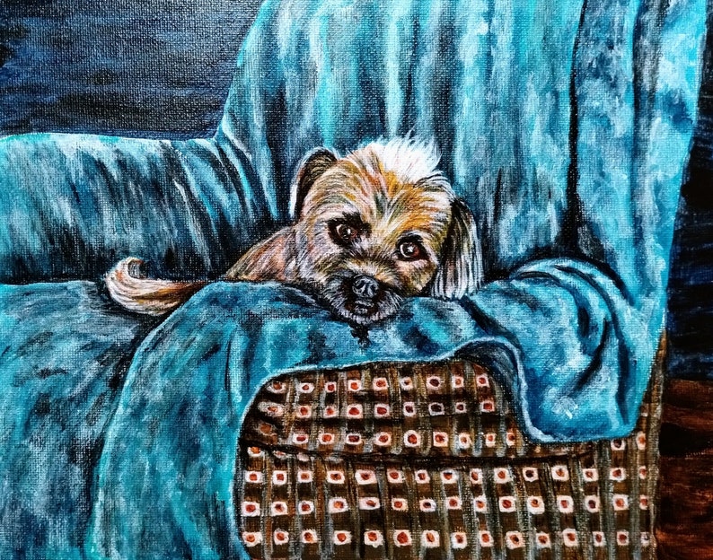 May include: A small, brown and white dog with a fluffy coat is lying on a blue armchair. The dog is looking at the camera with its head resting on the armrest. The armchair has a brown and white checkered pattern.
