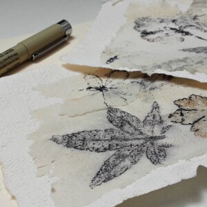 May include: Two pieces of white paper with delicate, pressed leaves and flowers. The leaves are in shades of brown and gray, and the flowers are white. The paper has a textured surface.
