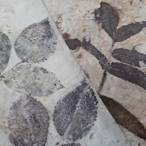 May include: A close-up of two pieces of fabric with leaf prints. The fabric on the left has a light green leaf print, while the fabric on the right has a darker brown leaf print.