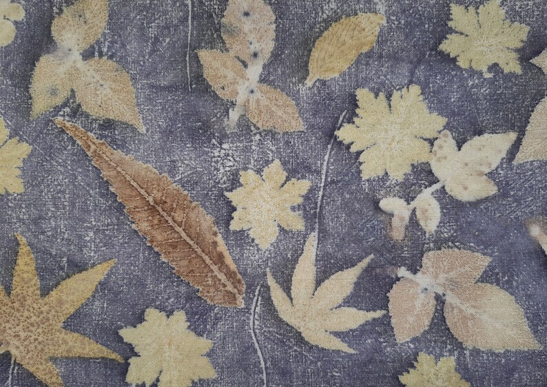 May include: A close-up of a fabric with a variety of pressed leaves in shades of brown and yellow. The leaves are arranged in a random pattern on a dark gray background.