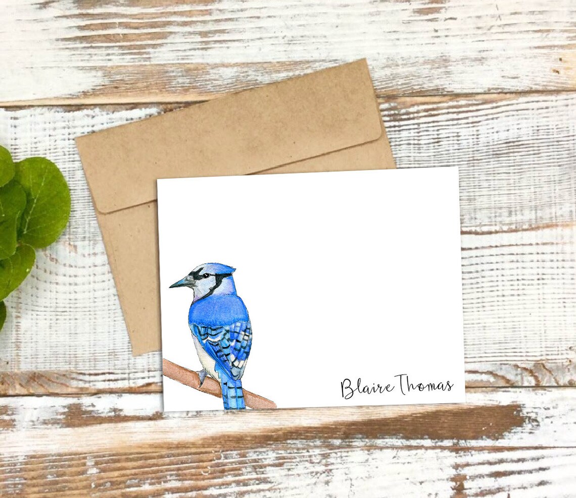 Blue Jay Stationery Blue Jay Note Cards Personalized Etsy