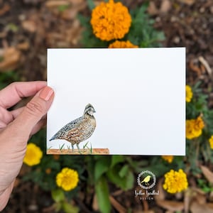 Northen Bob White Quail Notecards- Cards and Envelopes Only - Personalized or Blank Stationery Flat Note Cards and Envelopes