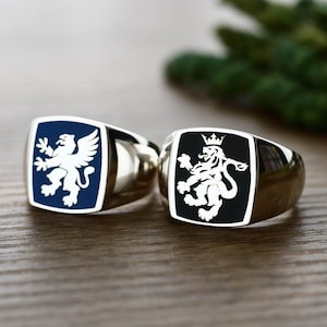 Mens Enamel Signet Ring, Square Signet Ring, Unique Mens Rings, Cushion Signet Ring, Mens Pinky Rings, Mens Signet Ring, Silver Ring for Men