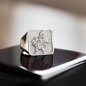 Square Family Crest Signet Ring, Family Crest Rings, Mens Rings, Mens Sterling Silver Rings, Custom Signet Ring, Silver Ring for Men, Signet