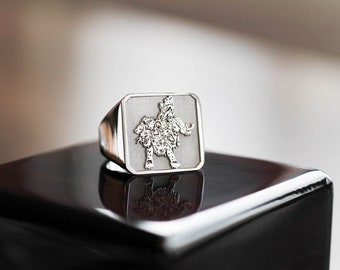 Square Family Crest Signet Ring, Family Crest Rings, Mens Rings, Mens Sterling Silver Rings, Custom Signet Ring, Silver Ring for Men, Signet